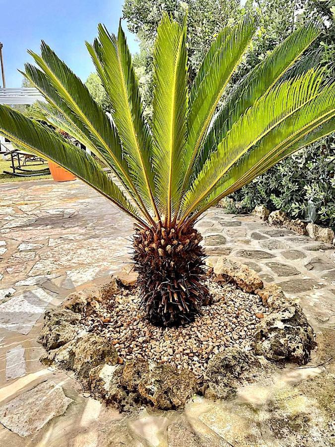 Lorelai Beach Marsala Dış mekan fotoğraf